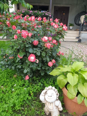 Vând casa în comuna Vernesti