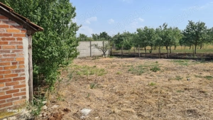 Casă de vânzare Chișineu-Criș, 879 mp - imagine 4