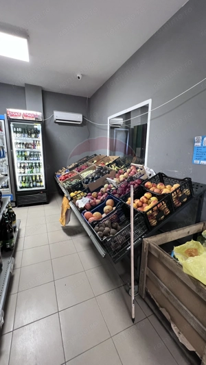 Spațiu comercial de vânzare / Afacere la cheie - sat Smardan, Galati - imagine 10