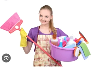 Firma de curățenie 