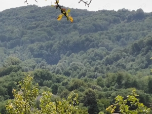 Vând 2 teren intravilan a câte 2050mp fiecare,livada cu nuci ideal pentru construcție sau investitie - imagine 12