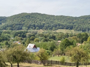 Vând 2 teren intravilan a câte 2050mp fiecare,livada cu nuci ideal pentru construcție sau investitie - imagine 18