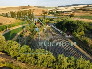 Domeniu, Afacere de vanzare, Sebeș, Alba, balta pescuit, ferma lavanda