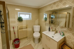 Locuinta complet utilata si mobilata, cu curte si foisor, aproape de Cluj - imagine 4