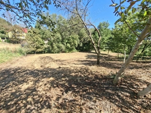 Vand teren curatat de vegetatie, 1600 mp, strada Musat Voda nr. 26-28, mun. Botosani - imagine 5