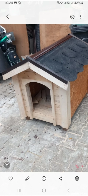 cusca caine - imagine 2 cusca caine - imagine 2