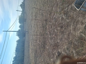 teren in zona industriala - imagine 2 teren in zona industriala - imagine 2