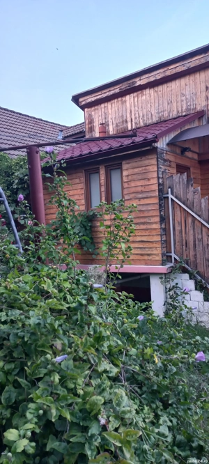 Oportunitate unică în viață! - imagine 7