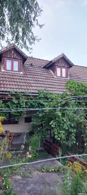 Oportunitate unică în viață! - imagine 6