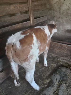 De vanzare - imagine 2