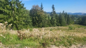 TEREN MONTAN cu potențial turistic