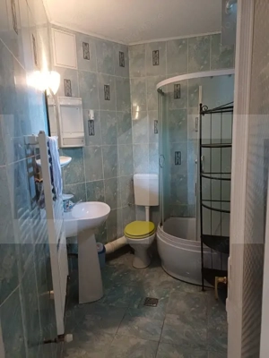 Apartament 2 camere + birou, în vilă, ultracentral – Piața Unirii - imagine 8 Apartament 2 camere + birou, în vilă, ultracentral – Piața Unirii - imagine 8