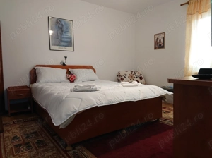 Cazare Azuga Casa Cerbului*** apartament vilă maxim 6 pers. - imagine 2