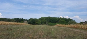 Vând teren Drăgești - imagine 5