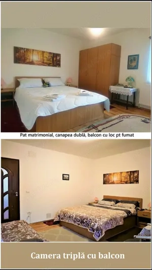 Cazare Azuga Casa Cerbului*** apartament vilă maxim 6 pers. - imagine 6