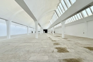 Hală industrială de producție/depozitare – Jilava, Str. Gării, 1797 mp - imagine 4