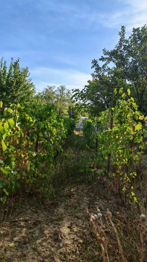 Casa cu teren 1030mp - in Chiroiu - Ialomita - imagine 7