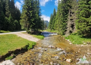 Teren intravilan de vanzare in  Dambovita   Padina  Muntii Bucegi
