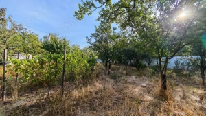 Casa cu teren 1030mp - in Chiroiu - Ialomita - imagine 8