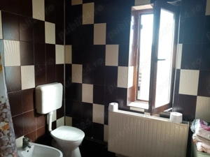 vand casa pensiune cu helesteu aproape de Timisoara-locatie excelenta! - imagine 14