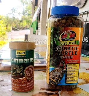 Vand broasca testoasa cu acvariu, anexe-incalzitor, aerator si mancare pe 1 an - imagine 4