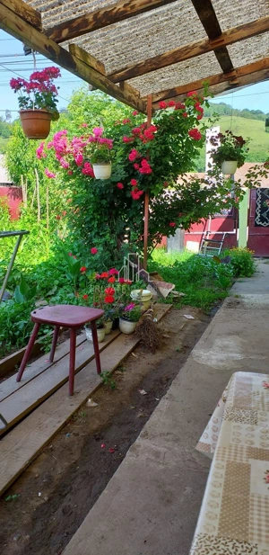 Casa de vanzare, Laslea, Judet Mures - imagine 3