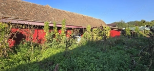 Casa de vanzare, Laslea, Judet Mures