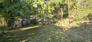 Casa de vanzare, zona centrala, Sighisoara, Mures - imagine 9