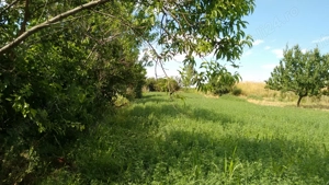 Casa de vanzare - sat. Vasile Alecsandri, jud. Galati - imagine 2 Casa de vanzare - sat. Vasile Alecsandri, jud. Galati - imagine 2