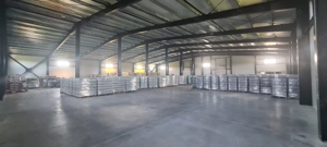 Hală industrială, platformă betonată, 300 mp - imagine 8