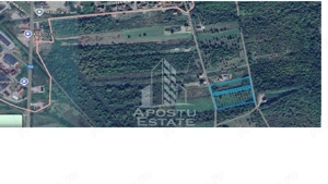 Teren Construibil - Sebis - imagine 6