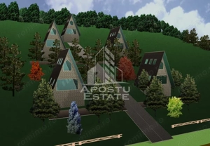 Teren Construibil - Sebis - imagine 5