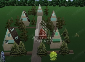 Teren Construibil - Sebis - imagine 4