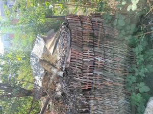 Tigla solzi gratis - imagine 3