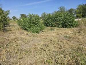 Casă de cărămidă - imagine 10