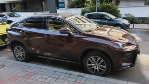 Lexus NX300H