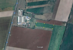 Teren arabil 11500mp, Pancota , Jud. Arad