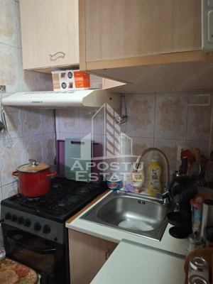 Garsoniera in zona Buziasului, 20 mp, bloc izolat - imagine 8