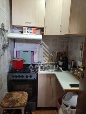 Garsoniera in zona Buziasului, 20 mp, bloc izolat - imagine 6