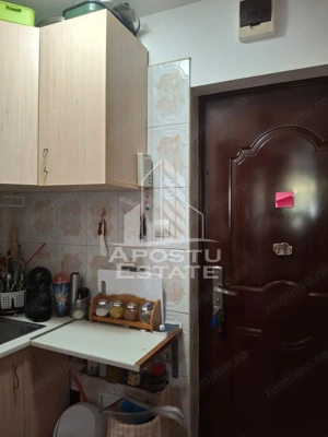 Garsoniera in zona Buziasului, 20 mp, bloc izolat - imagine 7