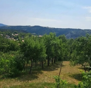 Casă de vânzare (schimb)  ,în Caraș Severin , Fârliug. - imagine 9