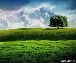 Teren Agricol Trifesti