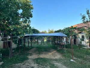 Vand casa batranesca + 1000mp teren intravilan, com. Dragutesti, sat Urechesti - imagine 7