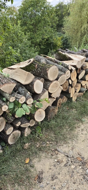 Lemne de foc de vânzare 