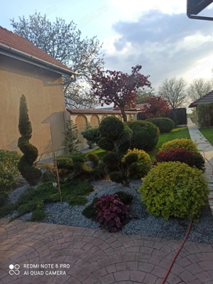 Casa de vanzare Biharia  - imagine 3