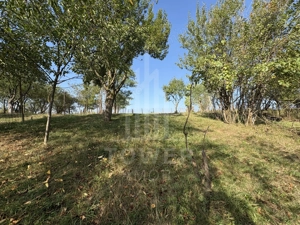 Casă cu teren generos în Șelimbăr – locație liniștită, ideală pentru familie - imagine 11