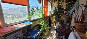 Apartament 3 camere, decomandat, bloc anvelopat, Mega Mall, Pantelimon! - imagine 3