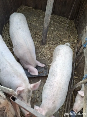 De vanzare  - imagine 2