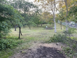 Casa cu teren 2105 mp Campina zona rezidentiala - imagine 10