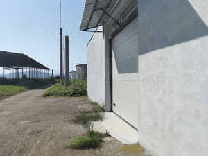 Hale pentru depozitare sau productie, teren aferent, vanzare sau inchiriere. - imagine 6